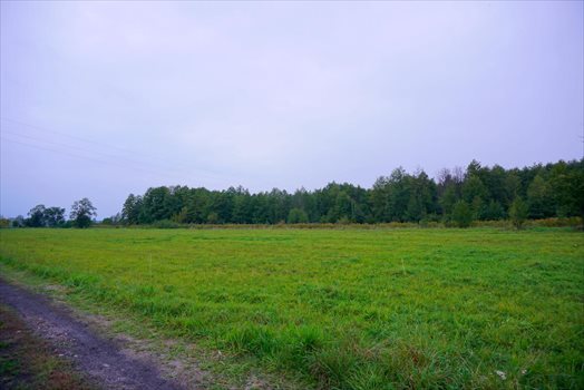 Działka budowlana na sprzedaż Jaktorów 1 258m2 Foto 7