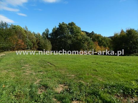 Działka budowlana na sprzedaż Skrzydlna 4 500m2 Foto 3