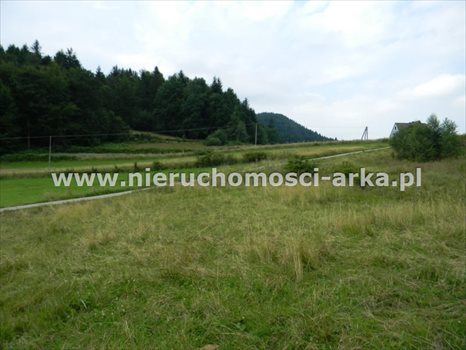 Działka budowlana na sprzedaż Dobra 1 700m2 Foto 2
