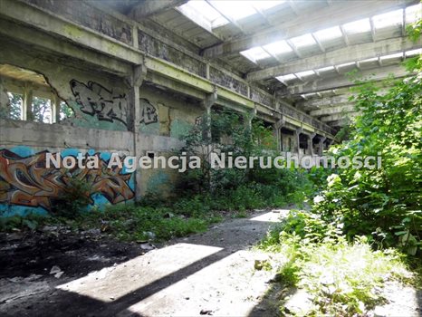 Działka inwestycyjna na sprzedaż Wałbrzych, Sobięcin 12 874m2 Foto 3