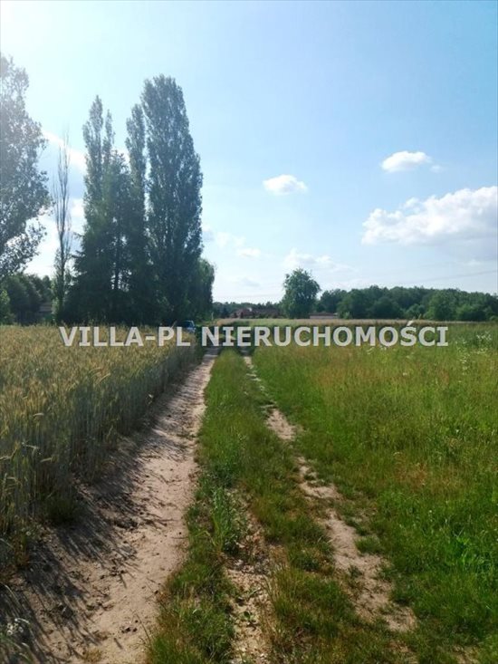 Działka budowlana na sprzedaż Rosanów 1 100m2 Foto 2