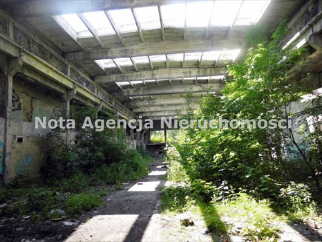 Działka inwestycyjna na sprzedaż Wałbrzych, Sobięcin 12 874m2 Foto 2