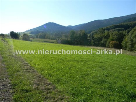 Działka budowlana na sprzedaż Dobra 2 500m2 Foto 1