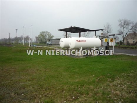 Działka inwestycyjna na sprzedaż Sława, Krzepielów 11 700m2 Foto 2