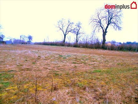Działka inna na sprzedaż Kończewice 3 000m2 Foto 7