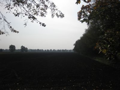 Działka inna na sprzedaż Kazimierzowo, Kazimierzowo 21 172m2 Foto 5