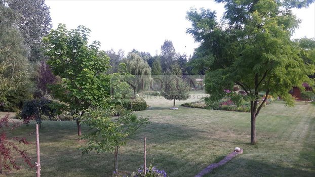 Działka rolna na sprzedaż Jastków 5 300m2 Foto 7