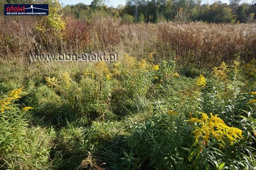 Działka inna na sprzedaż Bielsko-Biała, Stare Bielsko 1 835m2 Foto 7