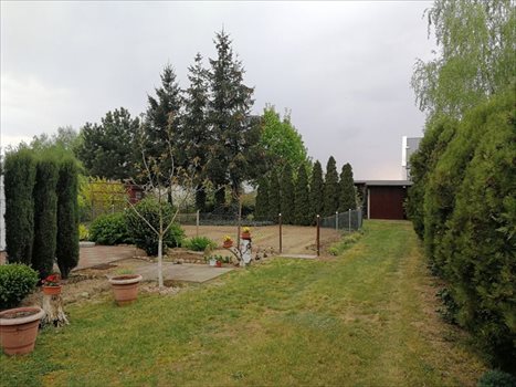 Działka budowlana na sprzedaż Lamki, Lamki 803m2 Foto 3