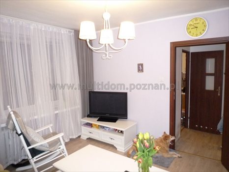 Mieszkanie trzypokojowe na sprzedaż Poznań, Wilda, Dębiec, Łozowa 67m2 Foto 11
