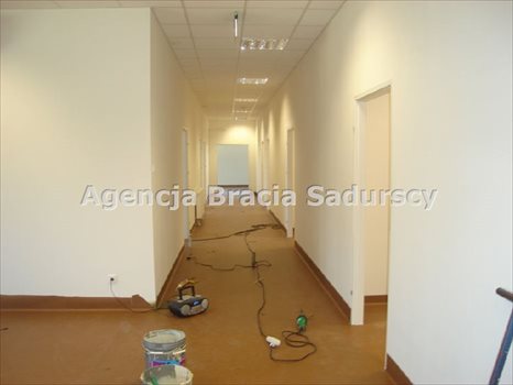 Lokal użytkowy na wynajem Kraków, Podgórze, Rybitwy, Półłanki 488m2 Foto 2