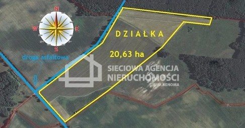 Działka leśna na sprzedaż Strzeczona 206 330m2 Foto 3