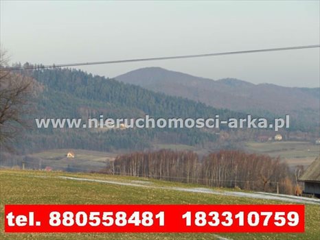 Działka budowlana na sprzedaż Skrzydlna 5 400m2 Foto 1