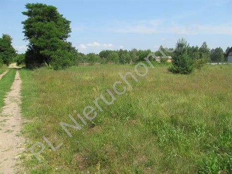 Działka rolna na sprzedaż Gójszcz 1 050m2 Foto 6