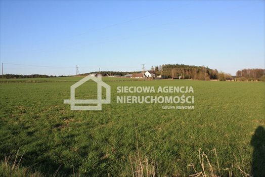 Działka siedliskowa na sprzedaż Stara Kiszewa 8 767m2 Foto 10