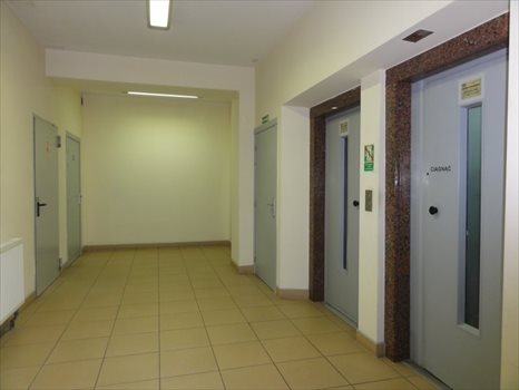 Lokal użytkowy na sprzedaż Wrocław, Psie Pole 3 770m2 Foto 7