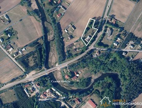 Dom na sprzedaż Frącki 320m2 Foto 3