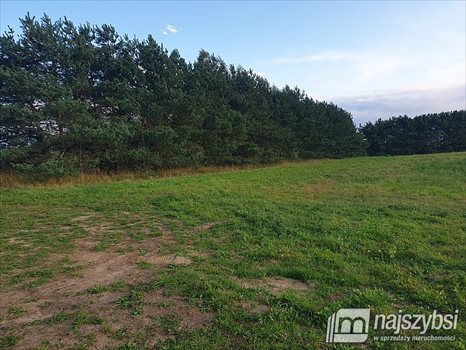 Działka budowlana na sprzedaż Jagatowo 998m2 Foto 3