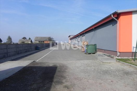 Lokal użytkowy na sprzedaż Ostrów Wielkopolski, Wysocko Wielkie, Wylotowa 1 234m2 Foto 6