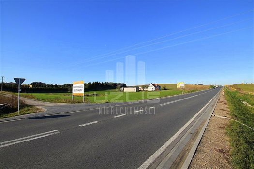 Działka inna na sprzedaż Janowo, Pelplińska 3 000m2 Foto 8