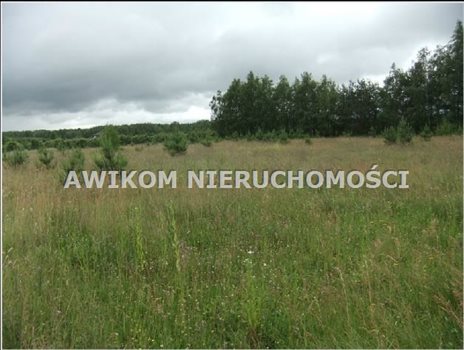 Działka budowlana na sprzedaż Skierniewice, Strobów 1 400m2 Foto 1