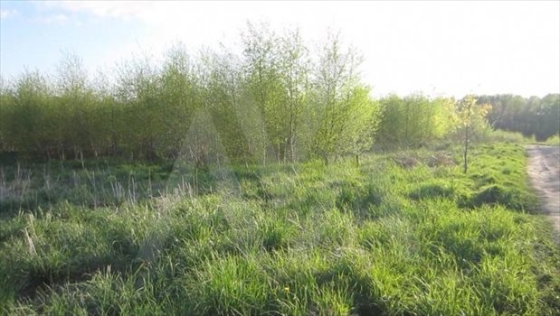 Działka budowlana na sprzedaż Małkowo, Znana 1 192m2 Foto 5