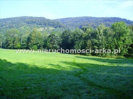 Działka budowlana na sprzedaż Gruszowiec 3 400m2 Foto 1
