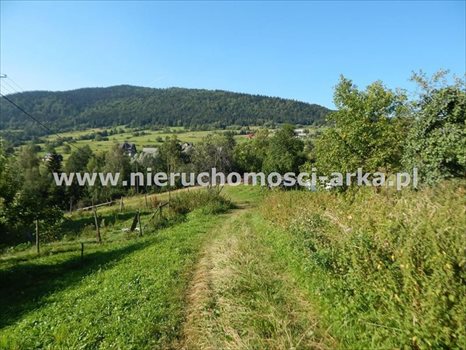 Działka budowlana na sprzedaż Chyszówki 2 566m2 Foto 4