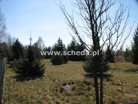 Działka budowlana na sprzedaż Karczewice 1 825m2 Foto 9