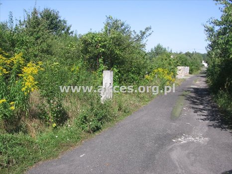 Działka budowlana na sprzedaż Łoś, Łoś, Polna 933m2 Foto 2