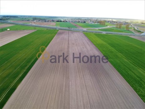 Działka inwestycyjna na sprzedaż Leszno 3 000m2 Foto 9