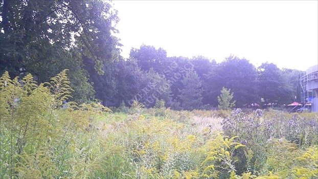 Działka inna na sprzedaż Zabrze, Centrum 1 697m2 Foto 2