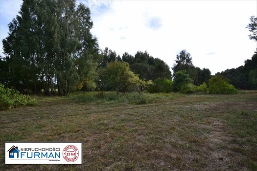 Działka siedliskowa na sprzedaż Biała 28 600m2 Foto 7