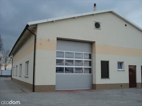 Lokal użytkowy na wynajem Wynajmę Magazyn . Hale - 2000m2 - LODZ + biura 2 000m2 Foto 2