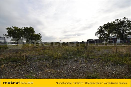 Działka inna na sprzedaż Piekary Śląskie, Piekary Śląskie 30 940m2 Foto 3