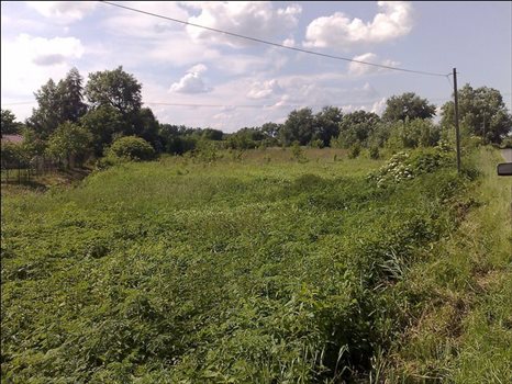 Działka budowlana na sprzedaż Dębówka, Słomczyn, Dębówka 10 900m2 Foto 2