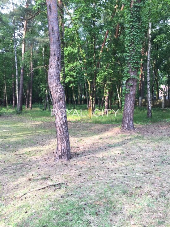 Działka budowlana na sprzedaż Konstancin-Jeziorna 3 354m2 Foto 3