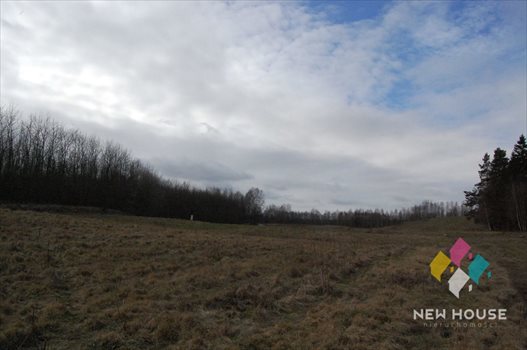 Działka inna na sprzedaż Cerkiewnik 3 024m2 Foto 6
