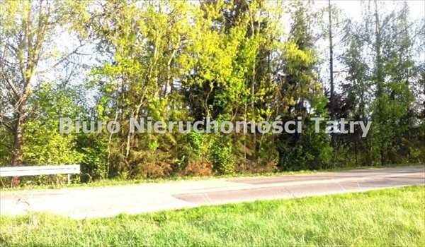 Działka budowlana na sprzedaż Nowa Biała 648m2 Foto 3