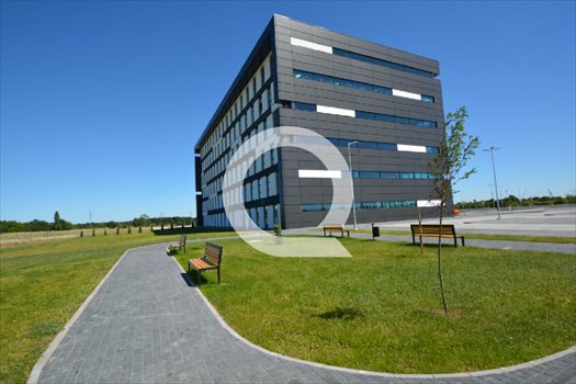 Lokal użytkowy na wynajem Gdańsk, Stogi 1 220m2 Foto 2