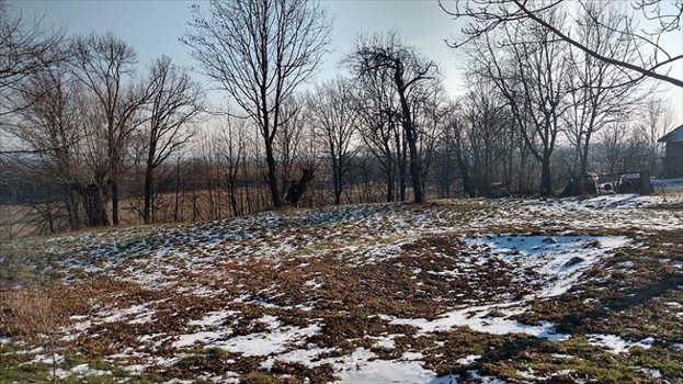 Działka budowlana na sprzedaż Bzianka, Bzianka 3 200m2 Foto 5