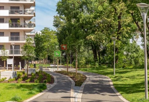Mieszkanie czteropokojowe na sprzedaż Wrocław, Stare Miasto 165m2 Foto 1