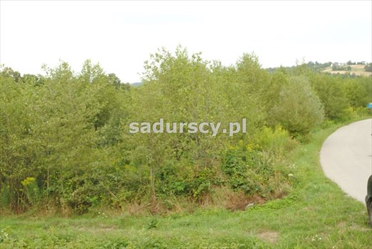 Działka budowlana na sprzedaż Głogoczów 2 240m2 Foto 9