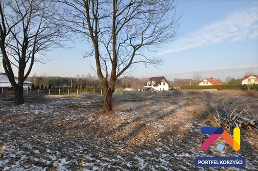 Działka budowlana na sprzedaż Droszków 2 500m2 Foto 2