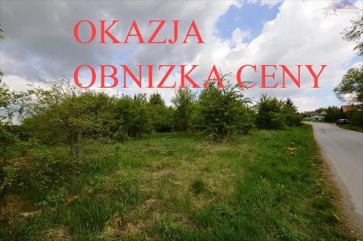 Działka budowlana na sprzedaż Ostrów 3 800m2 Foto 3