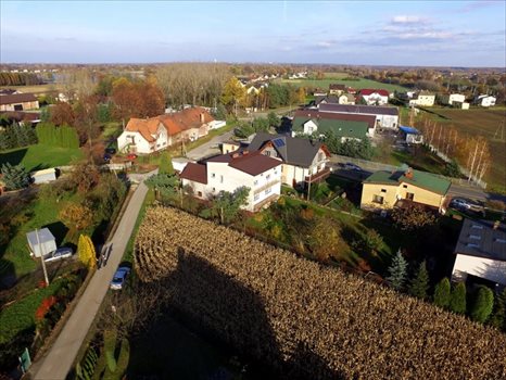 Działka budowlana na sprzedaż Dankowice, Spokojna 3 787m2 Foto 6