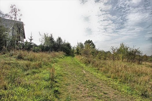 Działka rolna na sprzedaż Dołuje 915m2 Foto 5