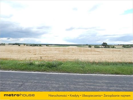 Działka inna na sprzedaż Depułtycze Królewskie, Chełm 32 926m2 Foto 4