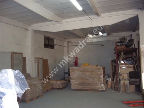 Lokal użytkowy na sprzedaż Domaniew 850m2 Foto 4
