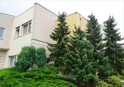 Lokal użytkowy na wynajem Łódź, Bałuty 150m2 Foto 3